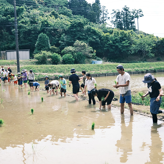 暮らしの学びのイメージ